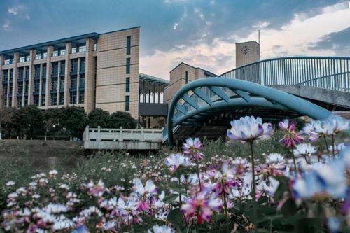 吴川学校爆料视频大全集,揭秘校园风云录  第3张 吴川学校爆料视频大全集,揭秘校园风云录  第3张