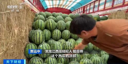 免费吃瓜的平台,畅享娱乐盛宴,轻松解锁精彩瞬间  第2张 免费吃瓜的平台,畅享娱乐盛宴,轻松解锁精彩瞬间  第2张