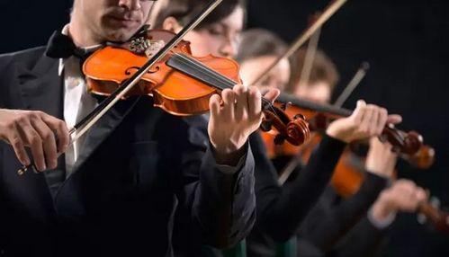 小提琴服装爆料视频下载,时尚与艺术的完美融合  第2张 小提琴服装爆料视频下载,时尚与艺术的完美融合  第2张