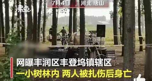 唐山视频爆料,还原事件真相,揭开暴力冲突背后  第2张 唐山视频爆料,还原事件真相,揭开暴力冲突背后  第2张