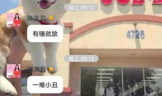 李先生王小姐爆料视频,揭秘背后惊人真相  第2张 李先生王小姐爆料视频,揭秘背后惊人真相  第2张