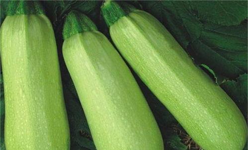 热门吃瓜网红排行榜图片,揭秘网络红人风云变幻  第2张 热门吃瓜网红排行榜图片,揭秘网络红人风云变幻  第2张