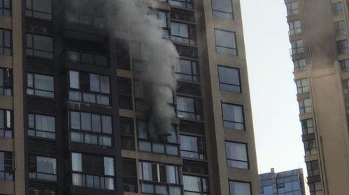 王庄最新爆料消息今天封城了,紧急封城,最新动态揭秘