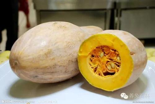 甘肃陇南康县吃瓜网红,网红带你尝鲜陇南美味  第2张 甘肃陇南康县吃瓜网红,网红带你尝鲜陇南美味  第2张