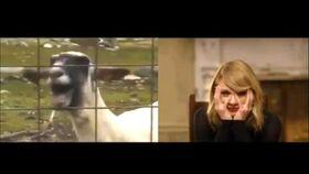 黄老板爆料唱歌视频大全,唱歌视频大全幕后花絮大公开  第3张 黄老板爆料唱歌视频大全,唱歌视频大全幕后花絮大公开  第3张