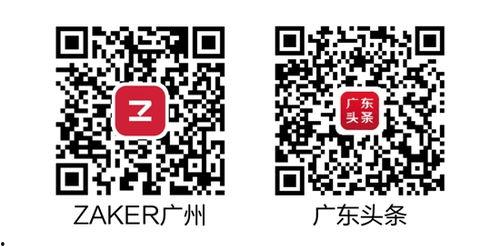 广州头条最新爆料,揭秘某神秘项目背后真相!  第3张 广州头条最新爆料,揭秘某神秘项目背后真相!  第3张