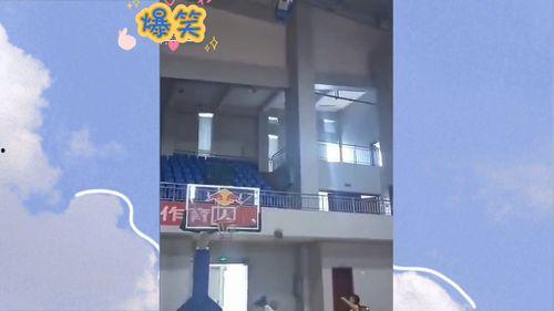 沙雕视频爆料网站大全,笑料横生,欢乐无限!