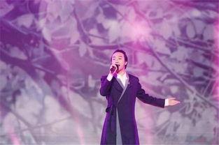 李玉刚爆料秘密视频播放,神秘视频背后的惊人真相  第1张 李玉刚爆料秘密视频播放,神秘视频背后的惊人真相  第1张