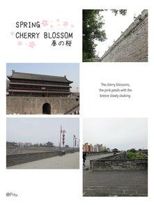 西安小王最新爆料,揭秘背后惊人真相!  第2张 西安小王最新爆料,揭秘背后惊人真相!  第2张