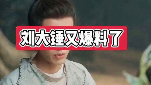 刘大锤爆料原话视频,揭秘原话视频背后的惊人真相  第2张 刘大锤爆料原话视频,揭秘原话视频背后的惊人真相  第2张