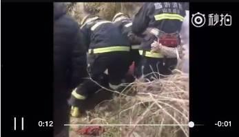 花果园爆料女子下跪视频,真相与争议  第3张 花果园爆料女子下跪视频,真相与争议  第3张